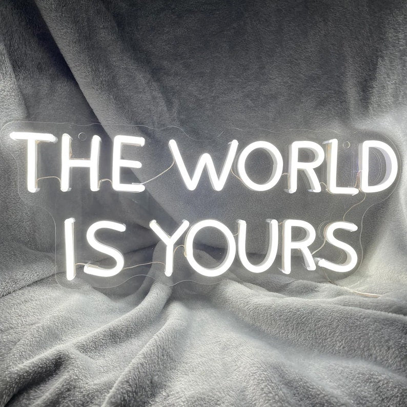 The World Is Yours Enseigne au Néon LED
